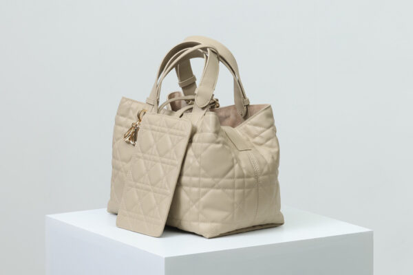 Medium Dior Toujours Bag