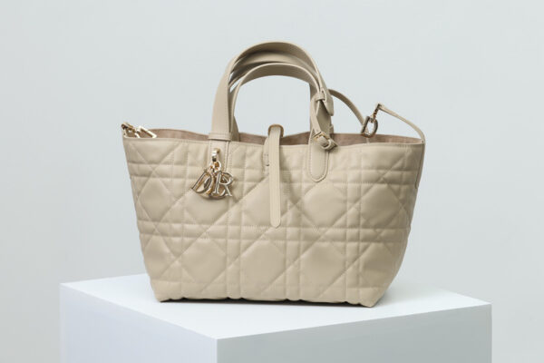 Medium Dior Toujours Bag