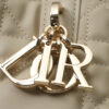 Medium Dior Toujours Bag