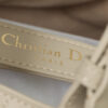 Medium Dior Toujours Bag