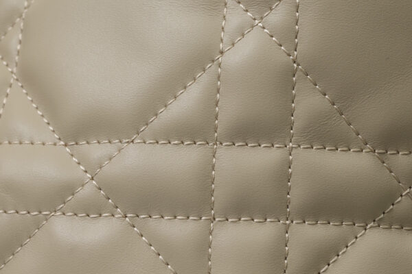 Medium Dior Toujours Bag