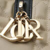 Medium Dior Toujours Bag
