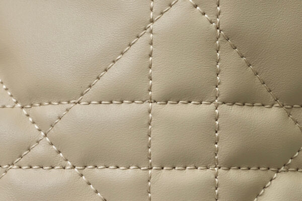Medium Dior Toujours Bag