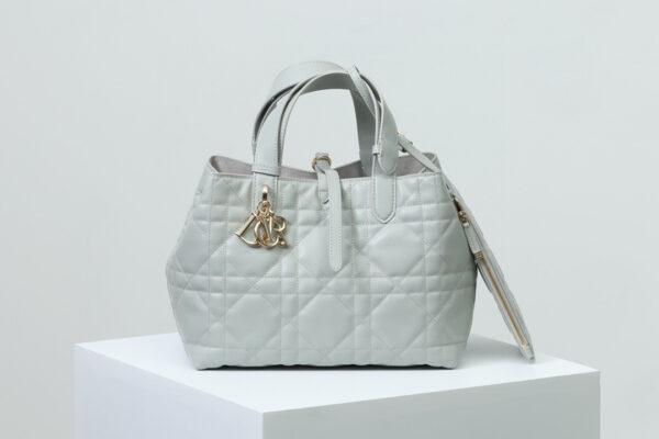Medium Dior Toujours Bag