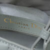 Medium Dior Toujours Bag
