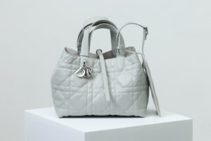 Medium Dior Toujours Bag