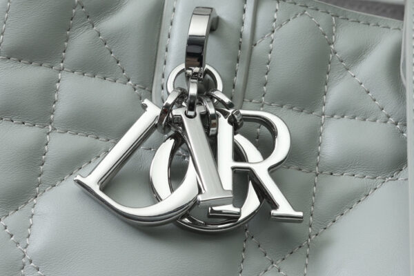 Medium Dior Toujours Bag