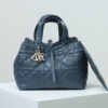 Medium Dior Toujours Bag