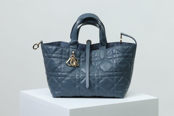 Medium Dior Toujours Bag