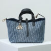 Medium Dior Toujours Bag