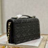 Mini Miss Dior Bag
