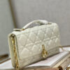 Mini Miss Dior Bag