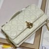 Mini Miss Dior Bag
