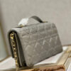 Mini Miss Dior Bag
