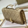 Mini Miss Dior Bag