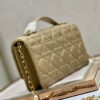 Mini Miss Dior Bag