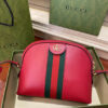 Gucci Ophidia Bag