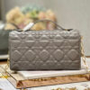 Mini Miss Dior Bag