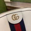 Gucci Ophidia Bag