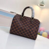 Louis Vuitton Speedy 25