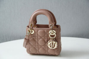 Microbolso Lady Dior