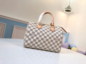 Louis Vuitton Speedy 25