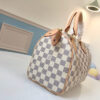 Louis Vuitton Speedy 25