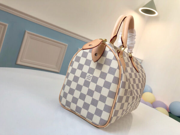 Louis Vuitton Speedy 25