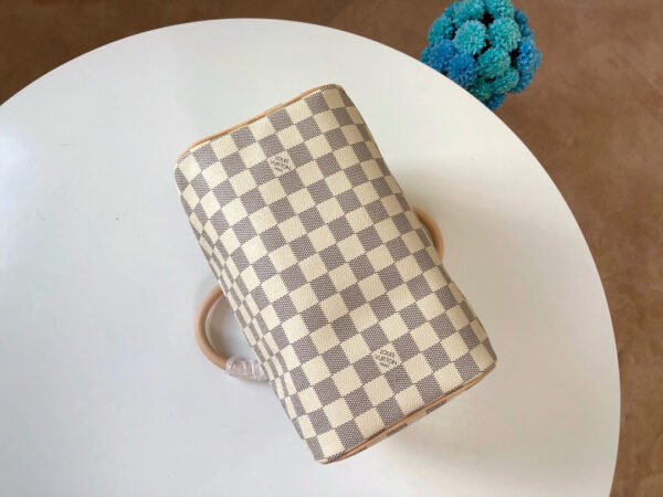 Louis Vuitton Speedy 25
