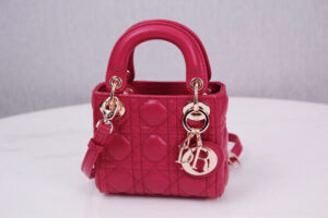 Microbolso Lady Dior
