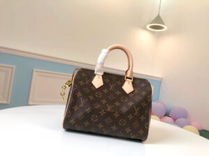 Louis Vuitton Speedy 25