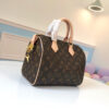 Louis Vuitton Speedy 25