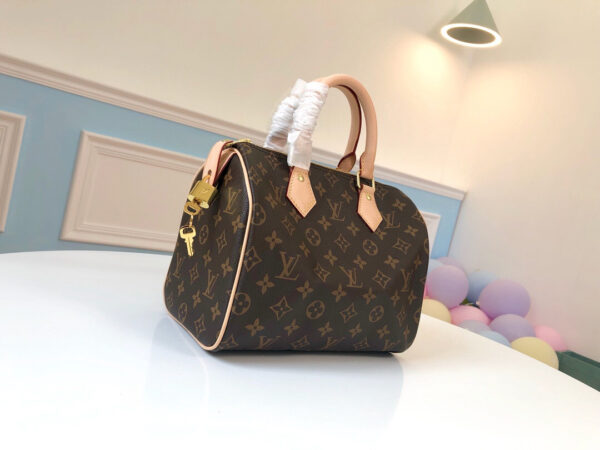 Louis Vuitton Speedy 25
