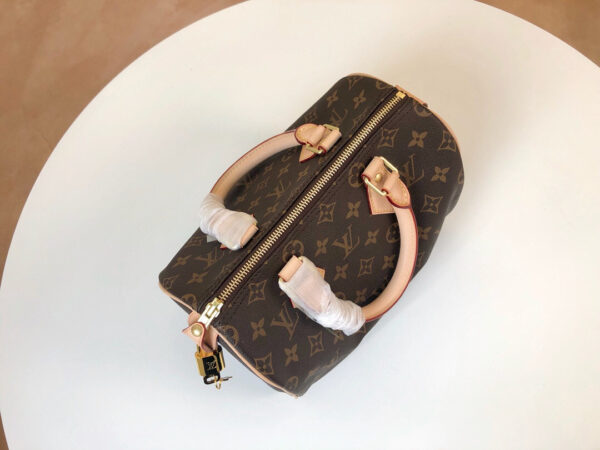 Louis Vuitton Speedy 25