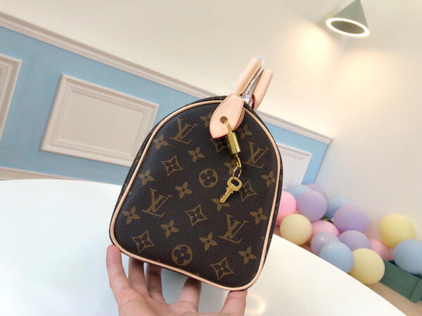 Louis Vuitton Speedy 25
