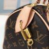 Louis Vuitton Speedy 25