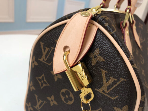 Louis Vuitton Speedy 25