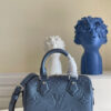 Louis Vuitton Speedy 20