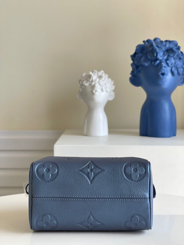 Louis Vuitton Speedy 20