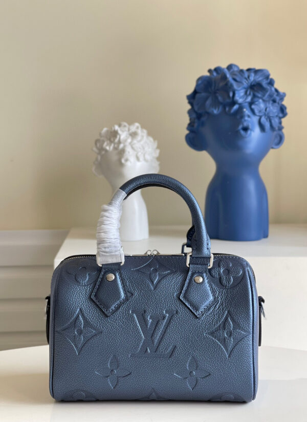 Louis Vuitton Speedy 20