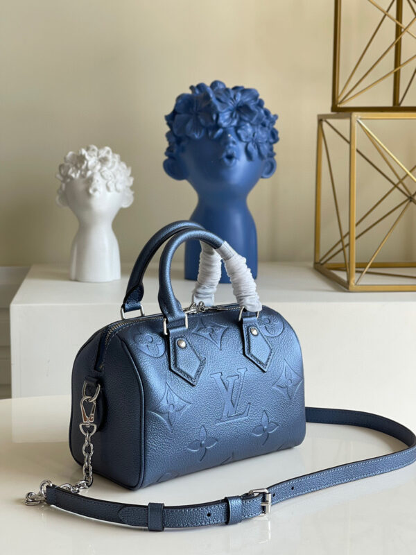 Louis Vuitton Speedy 20