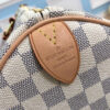 Louis Vuitton Speedy 35