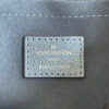 Louis Vuitton Speedy 20