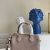 Louis Vuitton Speedy 20