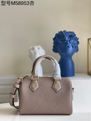 Louis Vuitton Speedy 20