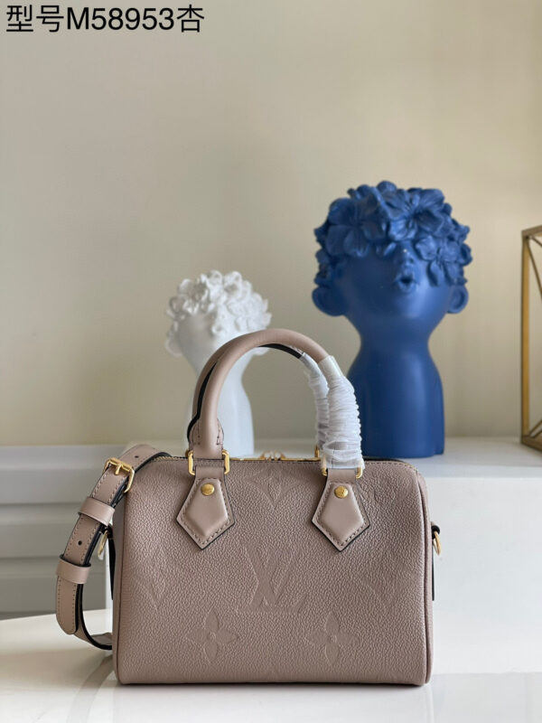 Louis Vuitton Speedy 20