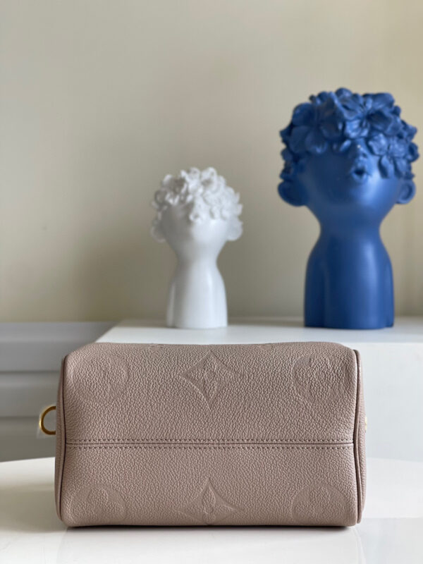 Louis Vuitton Speedy 20
