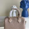 Louis Vuitton Speedy 20