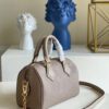 Louis Vuitton Speedy 20