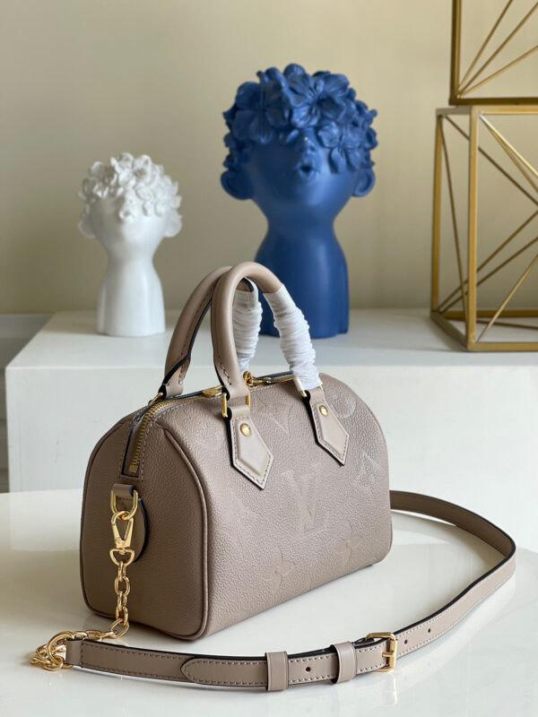 Louis Vuitton Speedy 20